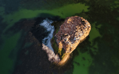 5 Ways To Help The Planet