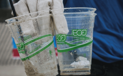 Returning to reuse this Plastic-free July