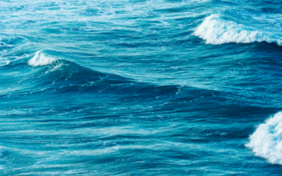 Plastic-Free July 2025